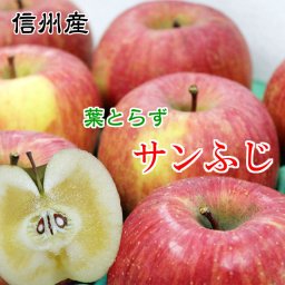 【１２月上旬頃から順次発送】信州産 りんご 葉とらず サンふじ 約5kg（12-18玉）