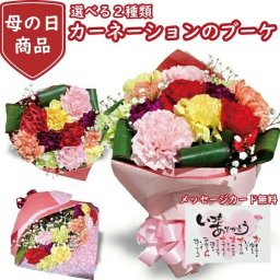 母の日 カーネーション カラフル 母の日 花束 ブーケ プレゼント 花 ギフト カーネーション 鉢 生花 鉢植え カーネーション 送料無料 お母さん 母 母の日ギフト ギフト 贈り物 2024年 送料無料