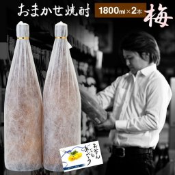 焼酎 "おまかせ" セット 芋焼酎 25度 1800ml × 2本 梅セット ギフト いも焼酎 飲み比べセット 鹿児島 酒 お酒 お歳暮 御歳暮 冬ギフト 誕生日 内祝 お祝い 宅飲み 家飲み 焼酎飲み比べセット