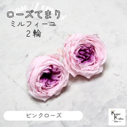 大地農園！プリザーブドフラワー 「ローズ・てまり・ミルフィーユ ピンクローズ 2輪」 プリザ 花材 ハーバリウム おしゃれ かわいい プレゼント 贈り物　オオチノウエン バラ 薔薇 ローズ rose