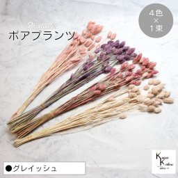大地農園！プリザーブドフラワー  「ポアプランツ グレイッシュ (クラシックパープル、クラシックピンク、クラウドピンク、ピンクベージュ) 1束ずつ4色」プリザ 花材 ハーバリウム おしゃれ かわいい プレゼント 贈り物　オオチノウエン