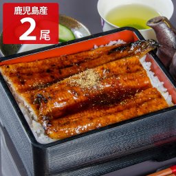 薩摩川内鰻 鹿児島産 うなぎ蒲焼 ギフト 2尾入 たれ 山椒付き 鰻蒲焼 冷凍 うなぎ 蒲焼 国産 蒲焼き 温めるだけ