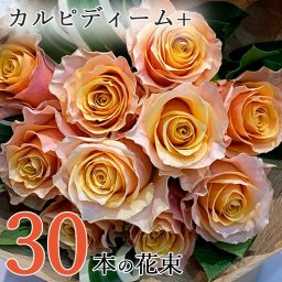 オレンジ バラ 30本の花束 カルピディーム+ 銀座の橙バラ ギフト 花束 プレゼント 記念日 誕生日 お祝い 珍しい 豪華 生花 お祝 記念日 プロポーズ 結婚祝い 誕生日 卒業 結婚 退職 長寿 金婚式 母の日 母の月■花束■