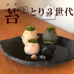 苔（コケ）がかわいい　真山茜さんのモスモス家族シリーズ トリ三代 モスドリ ２羽 コトリ２羽 チビドリ２羽 炭化焼締器セット