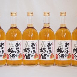 紀州産南高梅100％ おばあちゃんの梅酒 中埜酒造 720ml×6