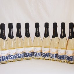11本セット(京都フルーツ白梅スパークリングワイン Joshu haku 京都山城青谷産城州やや甘口) 750ml×11本