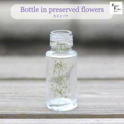 大地農園「ボトルインフラワー　カスミソウ　ヴェールグリーン　0.2ｇ　円筒50ml」プリザーブドフラワー　プリザ　ハーバリウム　小花 ドライフラワー ハーバリウム アロマワックスバー サシェ キャンドル 花材