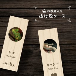 ギフトラッピング対応 【 名入れ無料 メール便 送料無料 】 爬虫類の抜け殻ケース 写真 抜け殻 ぬけがら 爬虫類 両生類 ヘビ カメレオン ヤモリ イモリ トカゲ イグアナ カメ ワニ メモリアル ペット お名前入り オリジナル 名入れ 保管 お守り 名前 かわいい プレゼント 動物 記念品 思い出