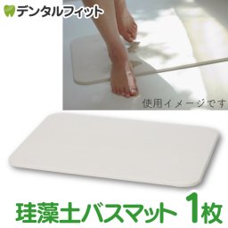 【送料無料】soil(ソイル) 珪藻土 バスマット ライト 1枚