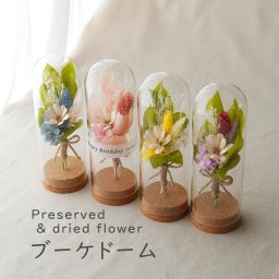 【ミニ花束/ブーケドーム】フラワードーム　誕生日プレゼント プリザーブドフラワー　ドライフラワー  花束 花 ギフト 誕生日 男性 花 プレゼント 誕生日プレゼント 女性