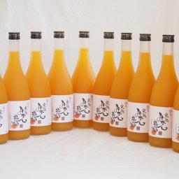 紀州完熟みかん梅酒 中野BC(和歌山県)720×10本