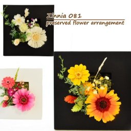 プリザーブドフラワー　額装花　【Zinnia081　ジニア】 	 色は3色から選べる プリザーブドフラワーのお供え花プリザーブドフラワー 花 額 額装 お供え プリザーブドフラワーのお供え花 送料無料 フレーム 木製 p Ag