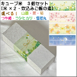 選べる「キューブ型お米２個」と「炊き込みごはんの素」セット 　贈答・ギフト・内祝い・お祝い・お礼・挨拶