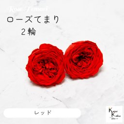 大地農園！プリザーブドフラワー 「ローズ・てまり レッド 2輪」 プリザ 花材 ハーバリウム おしゃれ かわいい プレゼント 贈り物　オオチノウエン バラ 薔薇 ローズ rose