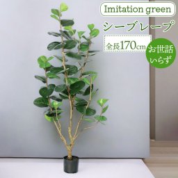 フェイクグリーン シーブレープ 通販 フェイク グリーン 人工観葉植物 インテリアグリーン 大型 イミテーショングリーン インテリアプランツ 人工樹木 ポット 鉢植え アーティフィシャルグリーン 人工植物 おしゃれ リビング インテリア雑貨 GLP-1555KK