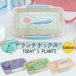 ランチボックス 弁当箱 ドームランチ お弁当箱 プレゼント ギフト レンジ対応 女子 大人 子供 1段 500ml お弁当 日本製 食洗機対応 弁当 抗菌加工 電子レンジ対応 おしゃれ かわいい 仕切付き 高校生 遠足 大人女子 TODAY'S PLANTS トゥデイズプランツ ホワイトデー