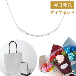 プラチナ 0.165ctダイヤモンド スマイルプラチナネックレス