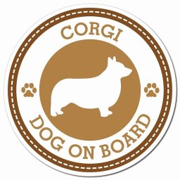 CORGI コーギ ブラウン 肉球 カーサイン 車 マグネットステッカー 犬 マグネット 強力 直径13cm 丸型 おしゃれ かわいい ドラレコステッカー 安全対策 危険運転 煽り運転 アニマル 動物 犬種別 屋外 防水 屋内 肉球マーク