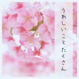 うれしいことたくさん メッセージ付き緑茶ティーバッグ 4g×2包　／緑茶 日本茶 かぶせ茶 プチギフト お祝い 内祝い お返し 誕生日 記念日 出産祝い 結婚祝い ウェディングギフト ソーシャルギフト