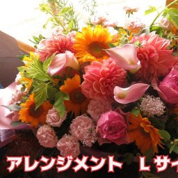 お祝い 記念日 フラワーアレンジメント お祝い 記念日 おまかせで安心 デザイナーにおまかせ 生花使用 Lサイズ