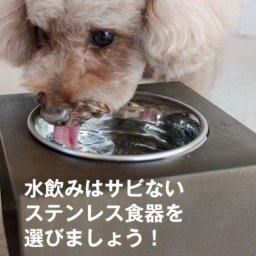 何かと便利と喜ばれる！ステンレス食器 フードボウル ペット食器 食べやすい お手入れ簡単 丈夫で衛生的 フードをお湯でふかすのに便利 冷たい食材もひんやりのまま 食洗機可 犬 猫 お迎え記念日 ペットギフト 誕生日 うちの子記念日 うちのコ記念日 犬好き 猫好き プレゼント ギフト ペット・ケア・アドバイザー推奨 ドッグライフカウンセラー監修