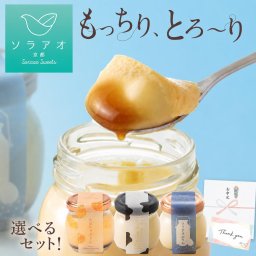 【ソラアオ】プリン詰め合わせ【 お中元 敬老の日 2026 】ギフト詰め合わせ 【送料無料(一部地域除く)】 個包装 3種セット ／ 熨斗 メッセージカード対応／プリン 冷蔵 高級 美味しい プレゼント おしゃれ ぷりん 誕生日 お取り寄せスイーツ 洋菓子 カボチャ チーズ プレーン プリン 詰め合わせ お菓子 贅沢 固め 女性 カスタードプリン