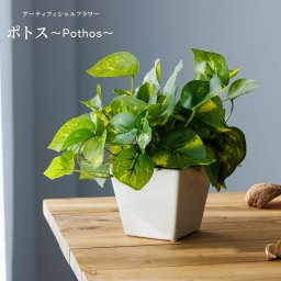 【造花 Pothos ポトス】 アーティフィシャルフラワー 花瓶 新築祝い 結婚祝い 開店祝い 開業祝い 誕生日プレゼント ギフト 送料無料