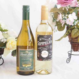 爽やかな酸味のチリ辛口白ワイン 2本セット(フルロッティ ソムリエ シャルドネ フエンテ フルータ シャルドネ) 750ml×2本