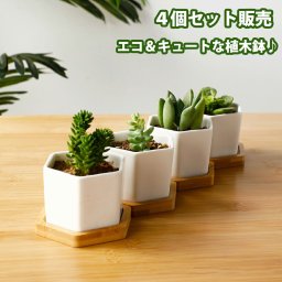 植木鉢４個セット母の日ガーデニングオブジェ鉢植えフラワープランター多肉植物観葉植物おしゃれな植木鉢サボテンミニプランターおしゃれ可愛い送料無料