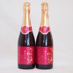 2本セット(山梨県産マスカット・ベーリーA　スパークリング赤ワイン ルージュ 酵母の泡 alc.11%やや辛口) 720ml×2本