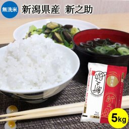 令和7年産 【無洗米】新潟産新之助 5kg お米 5キロ 送料無料(沖縄を除く) 無洗米 コシヒカリ新潟 白米 しんのすけ 新潟 ブランド米 洗わずに炊ける ギフト 内祝い お返し お祝い 贈答品 贈り物 プレゼント 賞品 景品 お礼 お中元 御中元 敬老 お歳暮 御歳暮