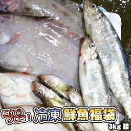 鮮魚を急速冷凍！北海道お魚福袋3kg  送料無料