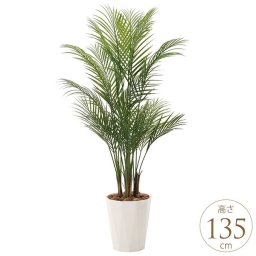 フェイクグリーン 鉢植え 大きい 観葉植物 鉢 フロアタイプ アレカパーム 1.35m 人工観葉 光触媒 インテリアグリーン 大型 オフィス