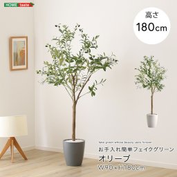お手入れ簡単 フェイクグリーン オリーブ Lサイズ(180cm) 新築祝い 開店祝い