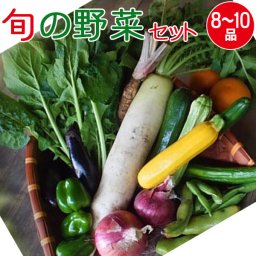 産地直送 旬の野菜セット（8～10品目）有機質肥料 野菜 詰め合わせ 奈良 和歌山 三重 送料無料