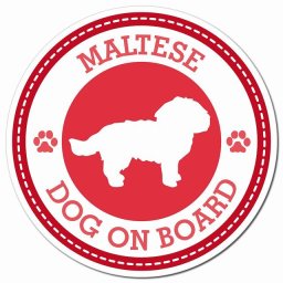 MALTESE マルチーズ レッド 肉球 カーサイン 車 マグネットステッカー 犬 マグネット 強力 直径13cm 丸型 おしゃれ かわいい ドラレコステッカー 安全対策 危険運転 煽り運転 アニマル 動物 犬種別 屋外 防水 屋内 肉球マーク