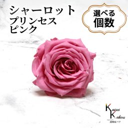 大地農園！プリザーブドフラワー 「シャーロット プリンセスピンク 選べる個数」 プリザ 花材 ハーバリウム おしゃれ ピンク バラ  かわいい プレゼント 贈り物　オオチノウエン