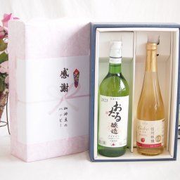 実りの秋の贈り物 感謝の贈り物ボックス おたる生葡萄100%ナイアガラワインと国産ワイン2本セット(信州りんごシードルワインやや甘口(長野県)500mlナイアガラ白ワイン やや甘口(北海道)720ml