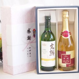 実りの秋の贈り物 感謝の贈り物ボックス 完熟ナイアガラ白ワインと国産ワインセット(甲州スパークリング 白ワインやや辛口(山梨県)720ml完熟無添加信州産ナイアガラ白ワイン やや甘口(長野県)720ml