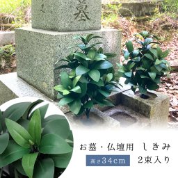 造花 お墓 仏壇用 しきみ 2束入り セット 仏花 お仏壇 お供え花 花束 墓花 盆花 枯れない 長持ち お墓参り 供養 お悔やみ 法事 法要 弔花 命日 四十九日 初盆 お盆 お彼岸 贈り物 お供え お供え花 アートフラワー しきび シキビ 樒 シキミ 【送料無料】【有料ギフトラッピング対象品】