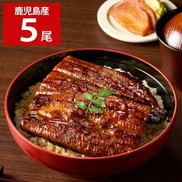 薩摩川内鰻 鹿児島産 うなぎ蒲焼 ギフト 5尾入 たれ 山椒付き 鰻蒲焼 冷凍 うなぎ 蒲焼 国産 蒲焼き 温めるだけ
