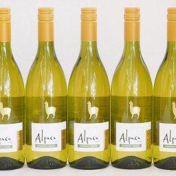 5本セット(チリ白ワイン アルパカシャルドネ・セミヨン(チリ)) 750ml×5本