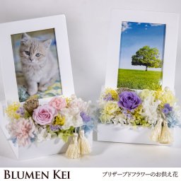 送料無料 お供え花 仏花 花 プリザーブドフラワー お供え フォトスタンド／メッセージカード無料 ギフト プレゼント お盆 初盆 お供え お彼岸 ご霊前 一周忌 三回忌 月命日 法事 仏壇 洋風 お仏壇 お悔やみ アレンジ ペット 和風 供花 誕生日 法要 供養 初盆 仏壇用