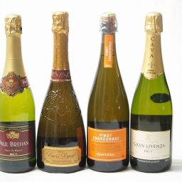 【第2弾】世界のスパークリング辛口ワイン飲み比べ！4本セット（スペイン、フランス2、イタリア）泡ワイン4本セット