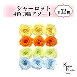 大地農園！プリザーブドフラワー「シャーロット 4色×3輪アソート 計12輪」「モーニングイエロー フルーティオレンジ フレッシュグリーン ベビーブルー」プリザ 花材 ハーバリウム おしゃれ ピンク バラ かわいい プレゼント 贈り物 オオチノウエン