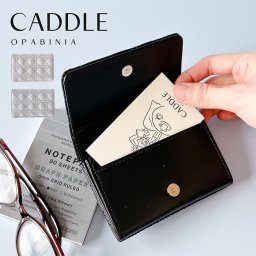 名刺ケース 名刺入れ ジェニファー ALTROSE カードケース 合皮 フェイクレザー シンプル おしゃれ レディース レディース名刺入れ ノーブランド 新社会人 プレゼント 母の日 ギフト マチ広 ポケット 多収納 無地 OL 大人 デザイン 普段使い