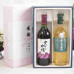 実りの秋の贈り物 感謝の贈り物ボックス 国産やや甘口赤ワインと国産ワインセット(長野県産葡萄使用 ナイアガラ白ワイン やや甘口(山梨県)720mlヴィンテージ実りの収穫 赤ワイン720ml