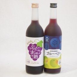 ぶどうを使った果物酒2本セット(中埜酒造 ぶどうのお酒7度(愛知県) 中野BC 紀州の梅酒とブルーベリー12度(和歌山県)) 720ml×2本