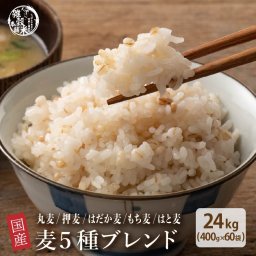雑穀 雑穀米 国産 麦５種ブレンド 24kg(400g×60袋) [丸麦/押麦/はだか麦/もち麦/はと麦] 無添加 無着色 業務用サイズ 送料無料 ダイエット食品 置き換えダイエット