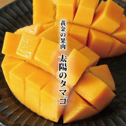 【送料無料】宮崎県最高峰　ブランドマンゴー　太陽のタマゴ　化粧箱入〈5Lサイズ×1玉（1玉650g以上）〉